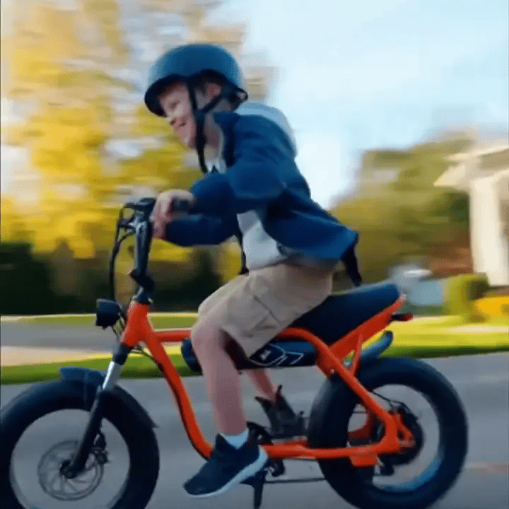 1500W Fat-Tire Electric Bike – All-Terrain, Removable Battery